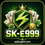 SK E999 Game